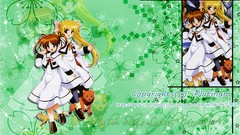 Mahou shoujo lyrical nanoha takamachi nanoha fate testarossa