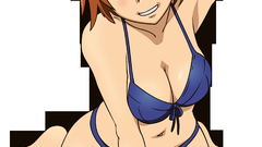 Mai Hime Arms raised