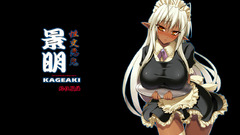 Maids elves full metal