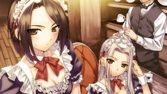 Maids fate zero irisviel von einzbern emiya kiritsugu hisau 