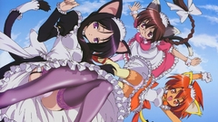 Maids glasses nekomimi Macademi