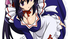 Maids nekomimi transparent Omamori