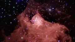 Main cepb full cepheus