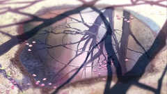 Makoto Shinkai 5 centimeters