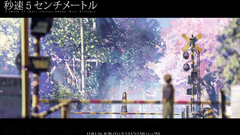 Makoto Shinkai 5 centimeters
