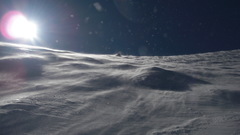 Mammoth ca high Animals