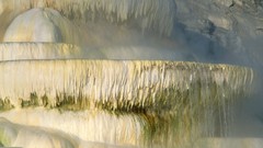 Mammoth national park yellowstone hot springs