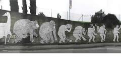Man Evolution graf high