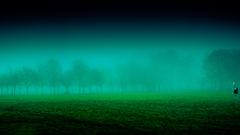 Man please could The someone right remove