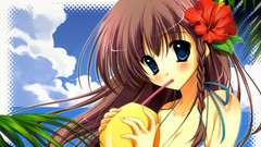 Mana anime girls braids bikini