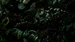 Mandolux fakej flower