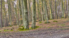 March The place complete