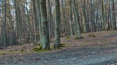 March The place high