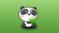 Marijuana panda bears