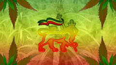 Marijuana rasta Lion of