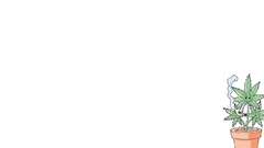 Marijuana Simple Background joint