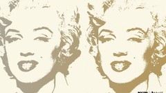 Marilyn Monroe Andy Warhol Incase