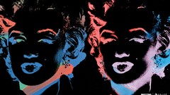 Marilyn Monroe Andy Warhol Incase