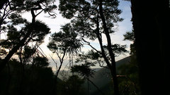 Marsden valley nature