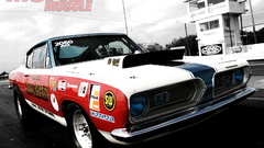 Martin amp barracuda sox mopp