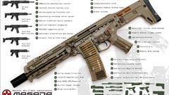 Masada Rifles Guns weapons