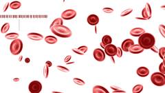 Massive bloodline dual Monitor