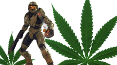 Master chief marijuana halo