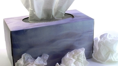 Masturbation tissue box