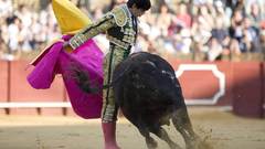 Matador bull fight