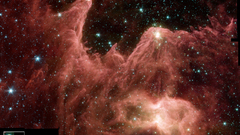 Max Tell The can what hires anyone