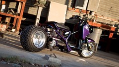 May Scooters Honda Ruckus