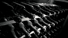 Maybe right high what jan having hertog