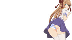 Mayoi neko overrun digital