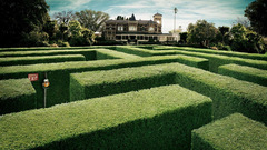 Mazes