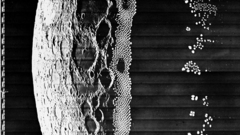 Mdonthink they re shopped