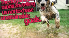 Meaning Dogs knowledge rabbits Quotes