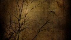 Meaning You high get Resolution