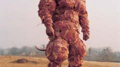 Meat suit of meat
