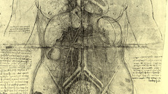 Medicine anatomy sketches biology