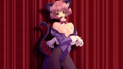 Megaupload com less than