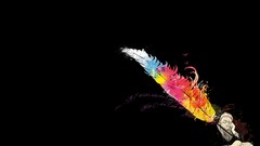 Men Books feathers black background multicolor sage writers