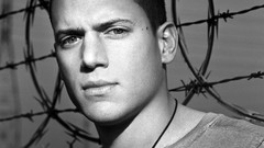 Men Celebrity prison break wentworth miller