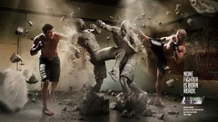 Men fight statues Brazil leisure ufc Photo manipulation artwork 