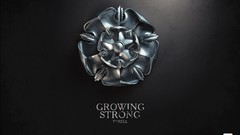 Metallic game of thrones logos minimalistic House Tyrell 