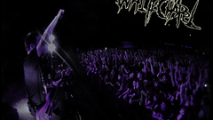 Metallica is indeed Gay