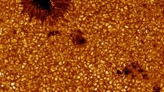 Mfbd colormore high gcont