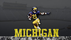 Michigan wolverines