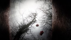 Microscopic blood vessels