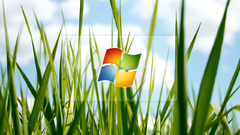 Microsoft windows