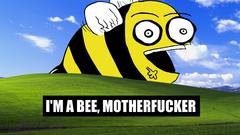 Microsoft windows bees windows